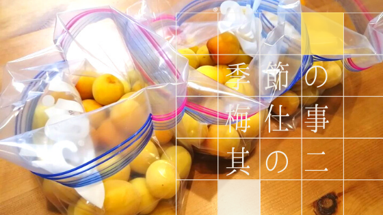 梅干し作り ジップロックで簡単に手作り 初めてでもokな漬け方レシピ 3児の母 ありちよnote 梅干し作り ジップロックで簡単に手作り 初めてでもokな漬け方レシピ 3児の母 ありちよnote